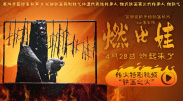 a一级一色一情